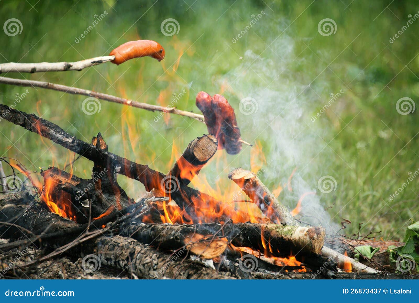Bonfire Campfire Fire Flames Grilling Steak on the BBQ Stock Image ...