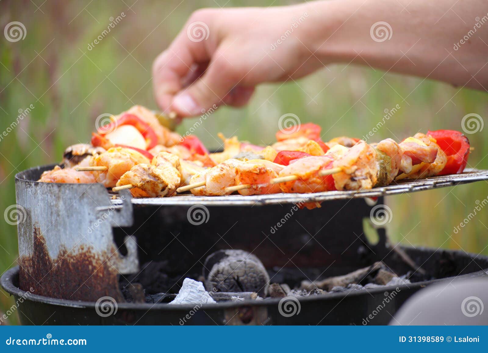 Bonfire Campfire Fire Flames Grilling Steak on the BBQ Stock Image Image of energy, fireplace