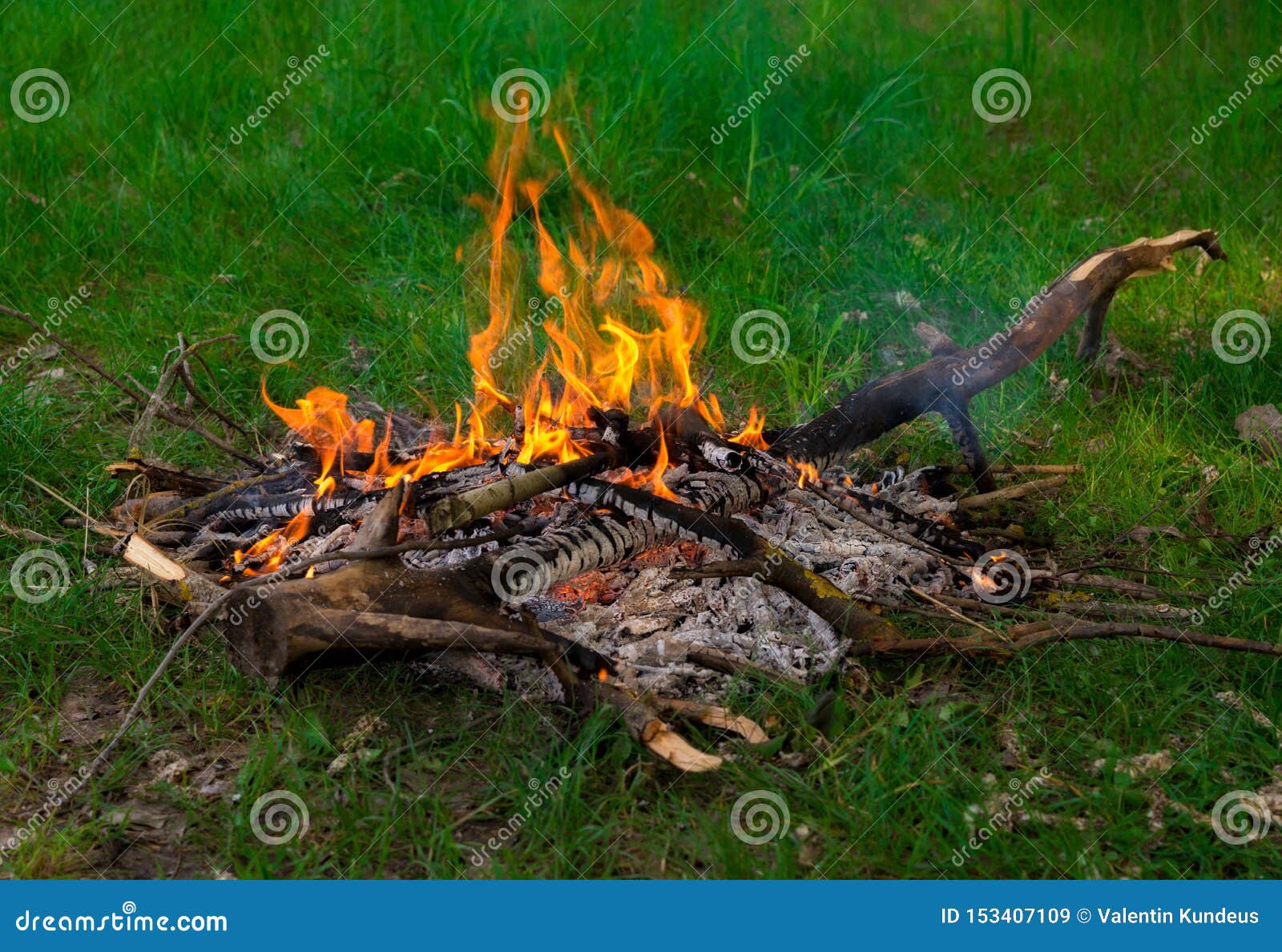 Bonfire of Dry Twigs on the Green Grass. Summer Holiday in Nature Stock ...