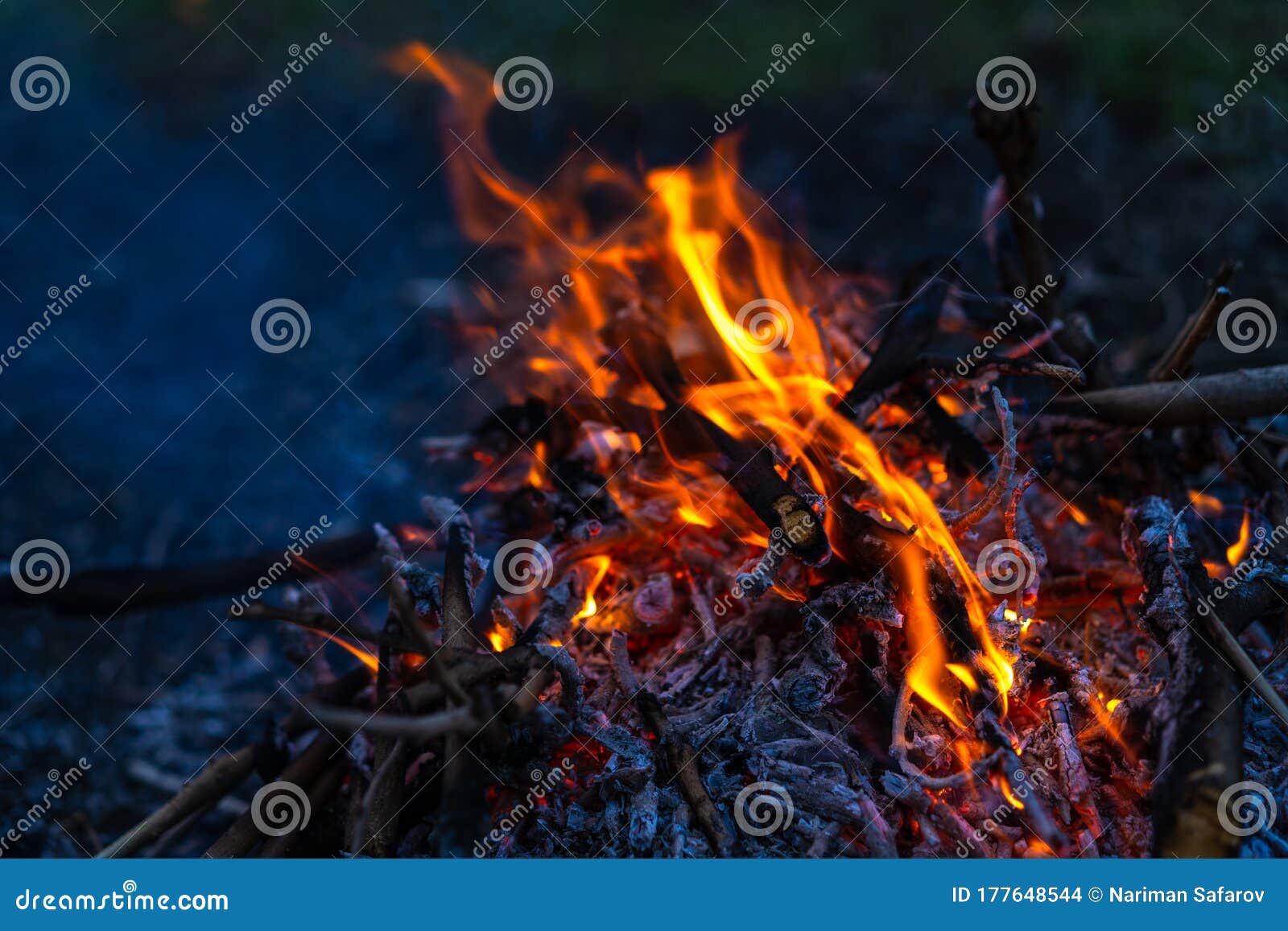 Bonfire with fire and ash stock photo. Image of fire - 177648544