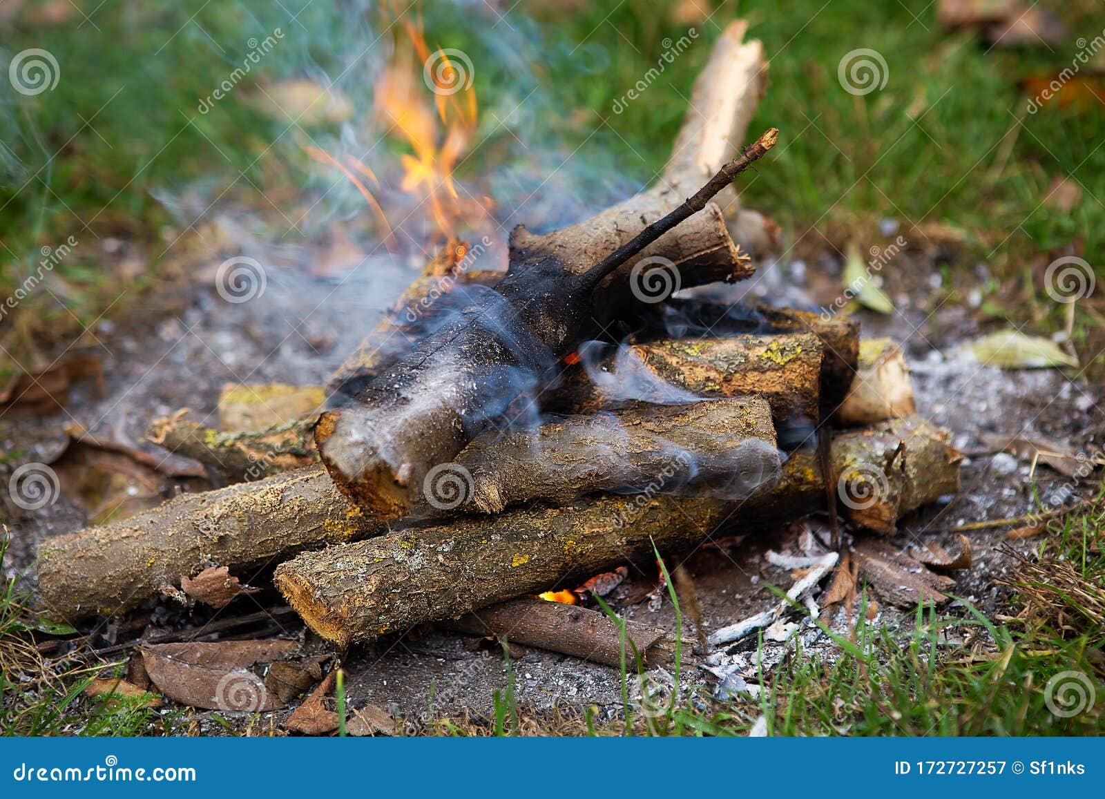 Bonfire, Firewood Close Up. Burning Fire from Stacked Logs Stock Image ...