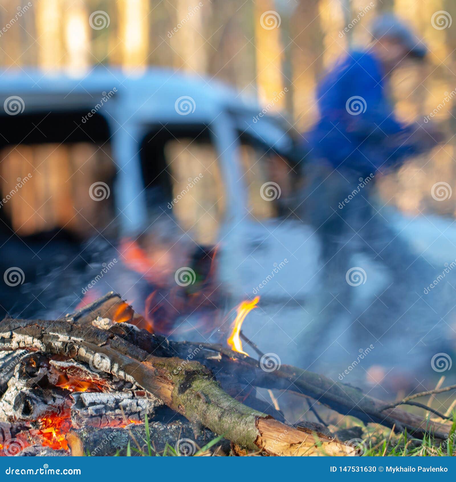 Bonfire in the Forest on Vacation. Fire Hazard Stock Photo Image of