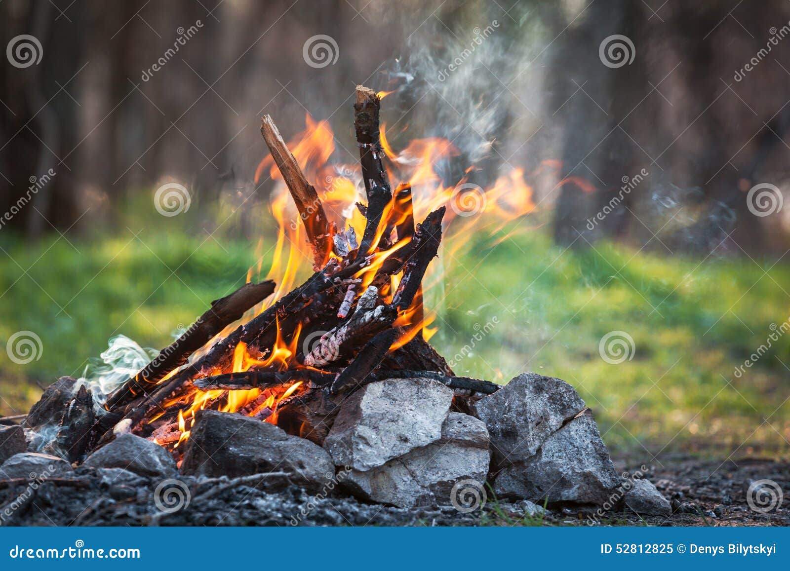 Bonfire in the Spring Forest. Coals of Fire Stock Image - Image of ...