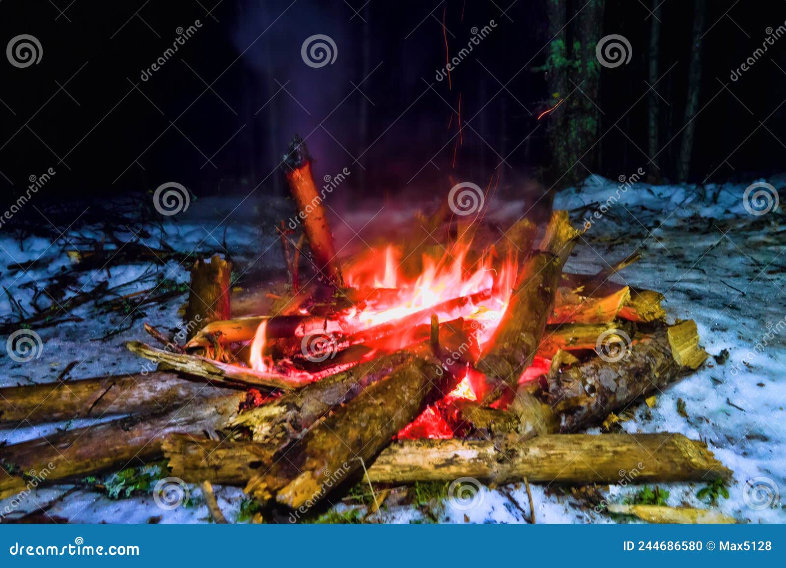 campfire in the winter forest at a halt