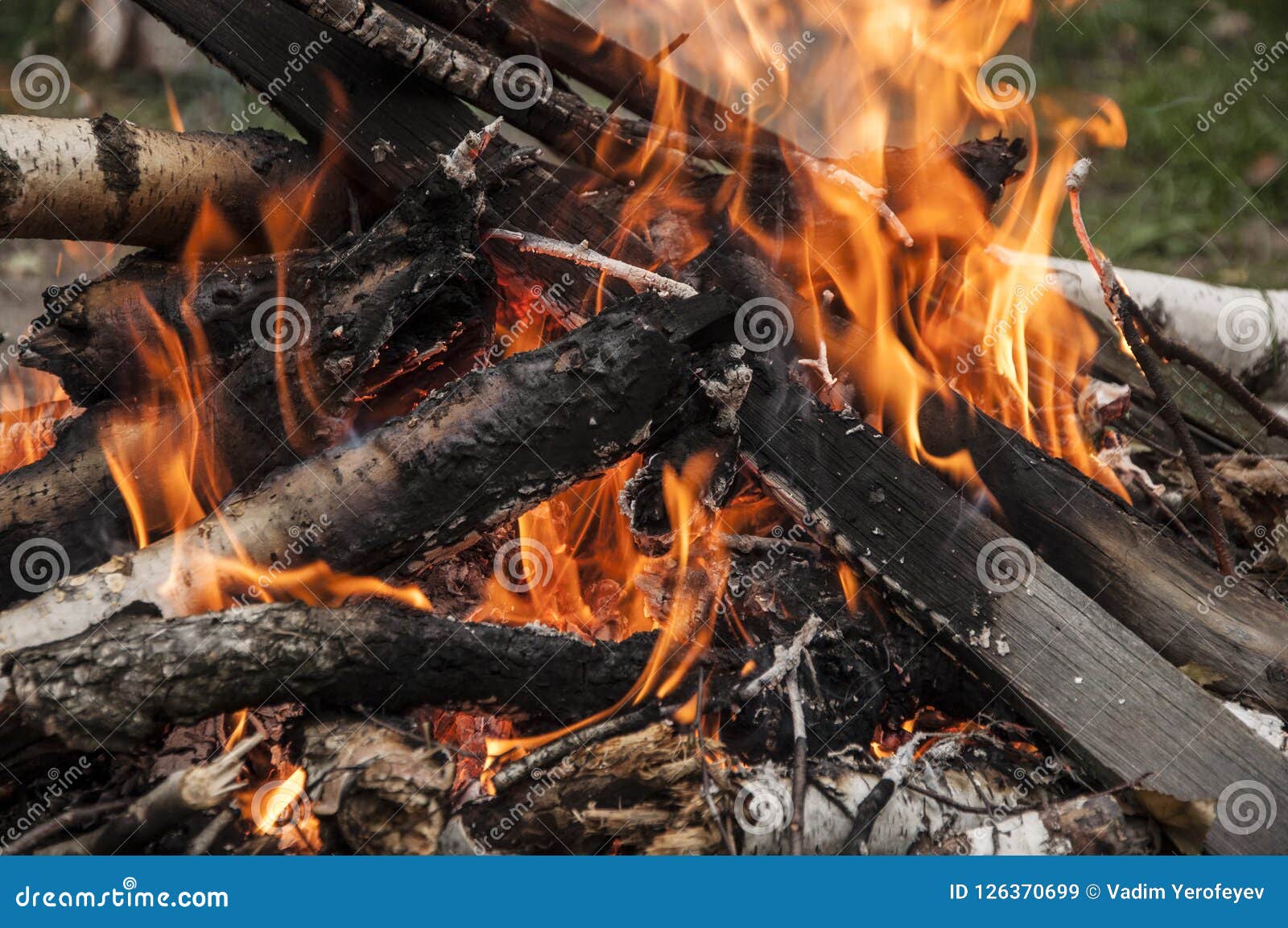 The Fire is Burning in Nature Stock Image - Image of danger, orange ...