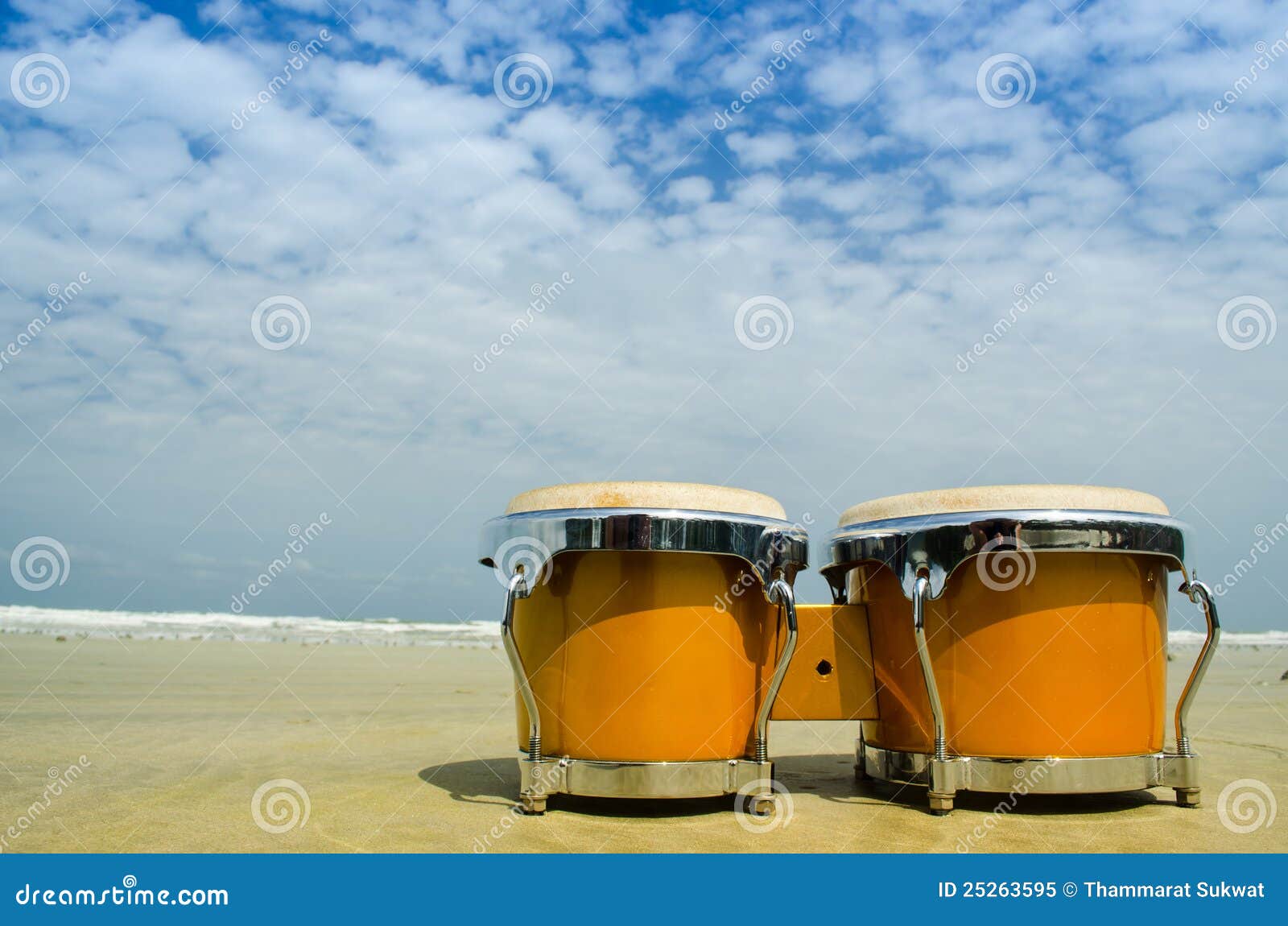Bongo on the beach stock image. Image of natural, outdoor 25263595