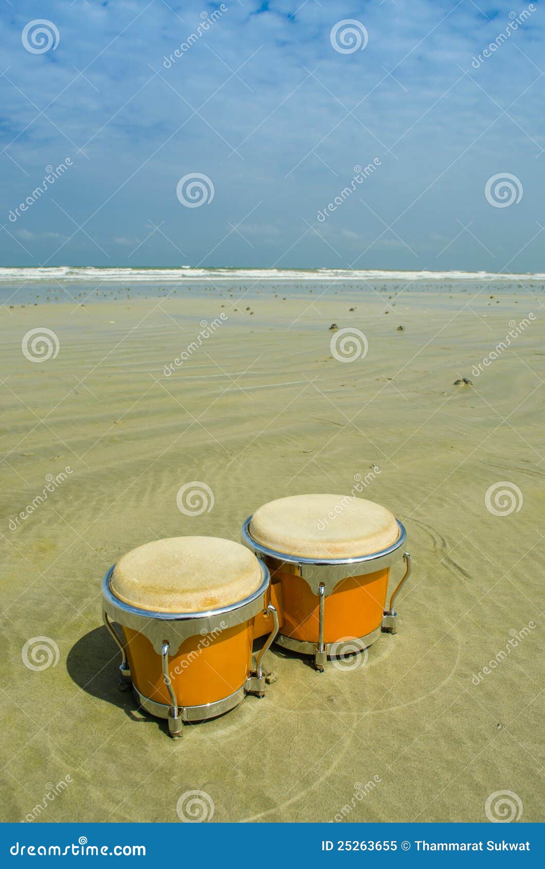 Bongo on the beach stock image. Image of sand, nature 25263655
