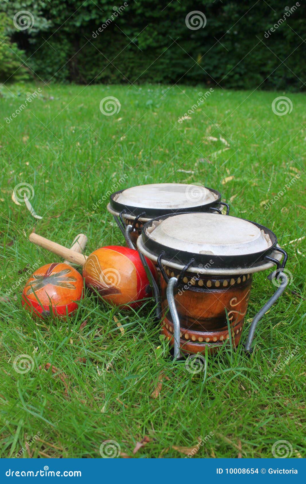 Bongos y maracas en hierba foto de archivo. Imagen de latino 10008654