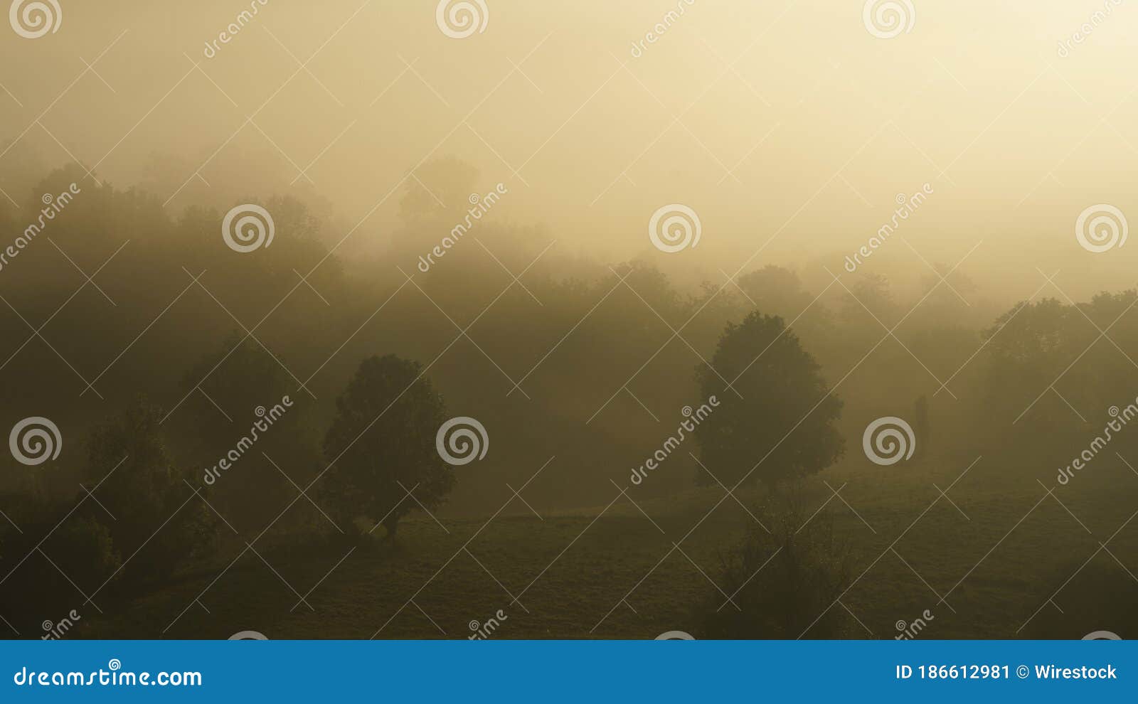 bonita foto de una zona rural al amanecer con la niebla entre los arboles