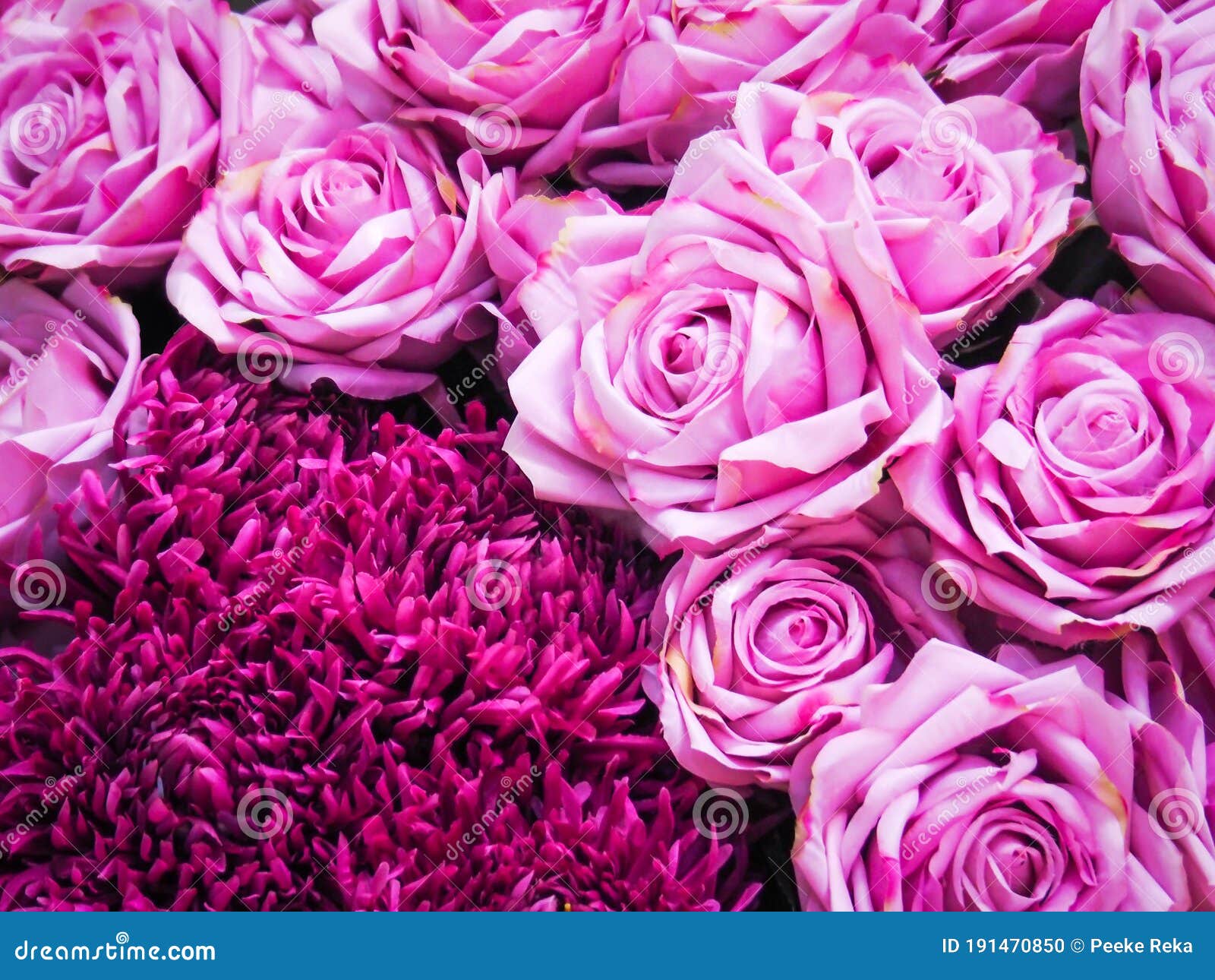 Bonitas Flores Rosas Con Rosas Para El Fondo Foto de archivo - Imagen de  tarjeta, ambiente: 191470850