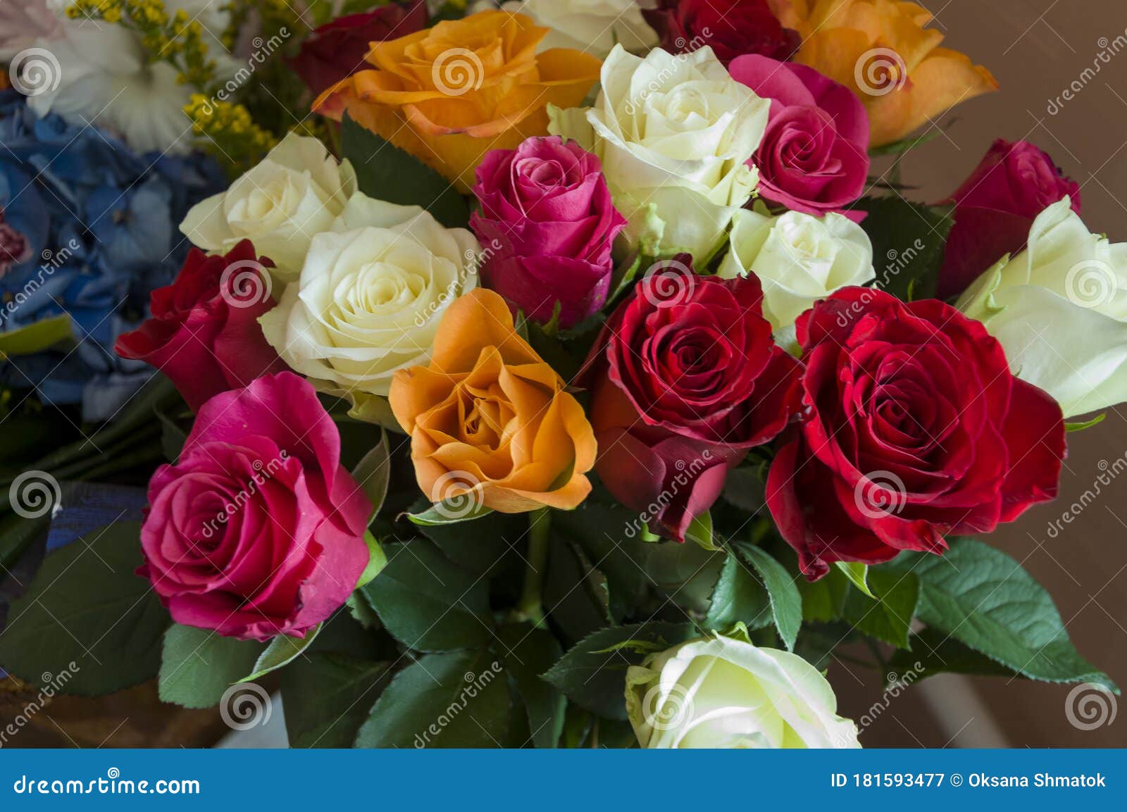 Bonito Y Colorido Ramo Con Muchas Flores Rosas De Colores Rojo Vinícola  Naranja Y Blanco. Hojas Verdes Y Espinas. Vida Residual. Imagen de archivo  - Imagen de flores, regalo: 181593477