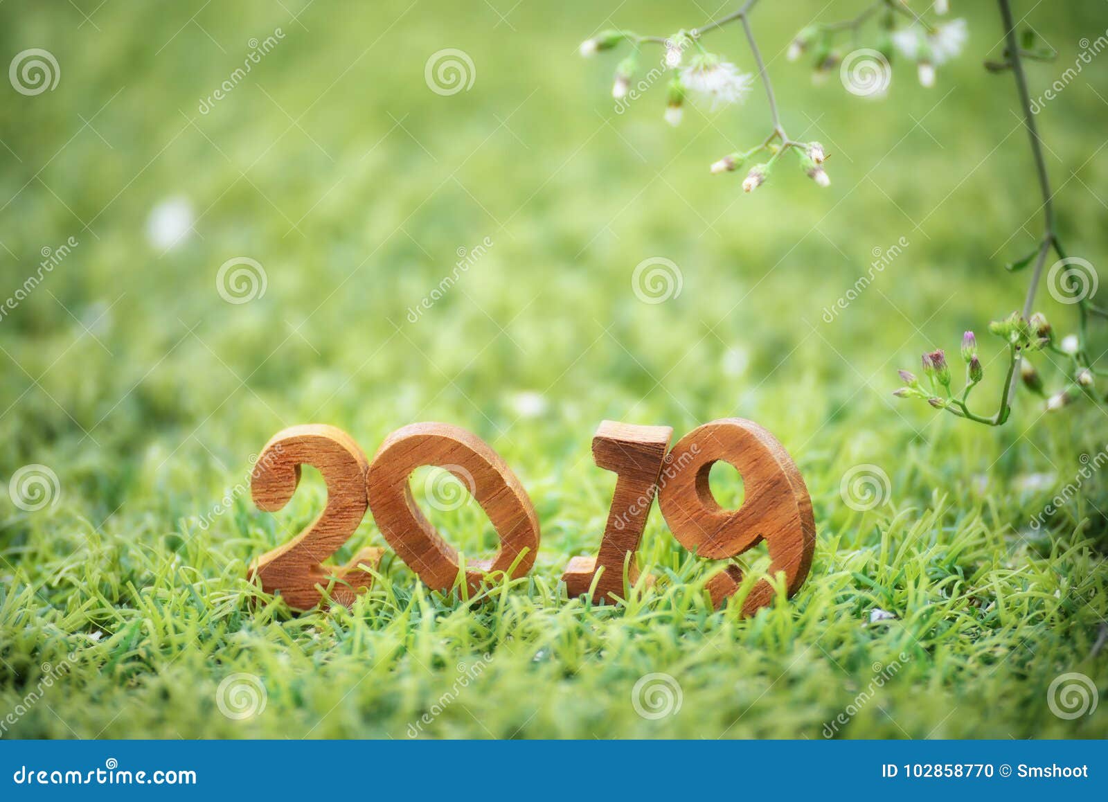Bonne Annee 2019 Concept De Nature Photo Stock Image Du