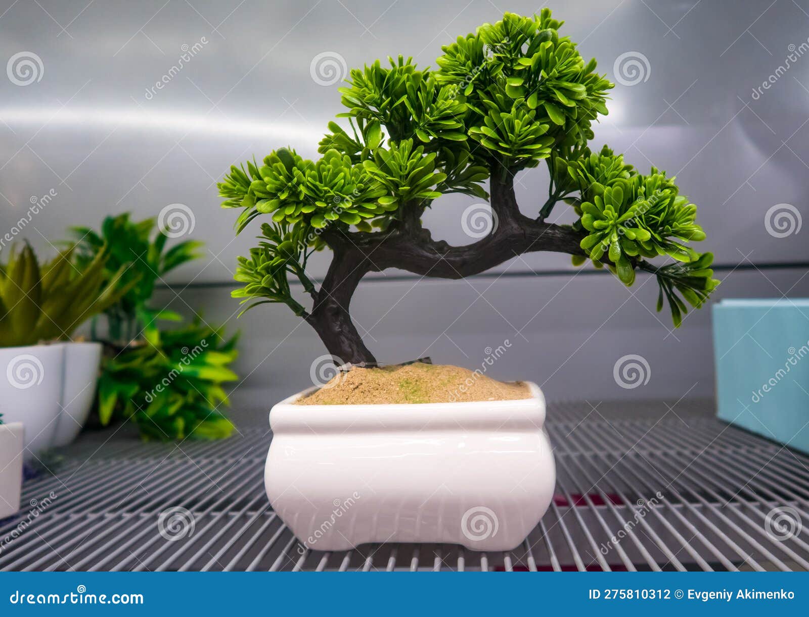 Bonsai Artificial Para La Decoración Interior Foto de archivo - Imagen de  artificial, interior: 275810312