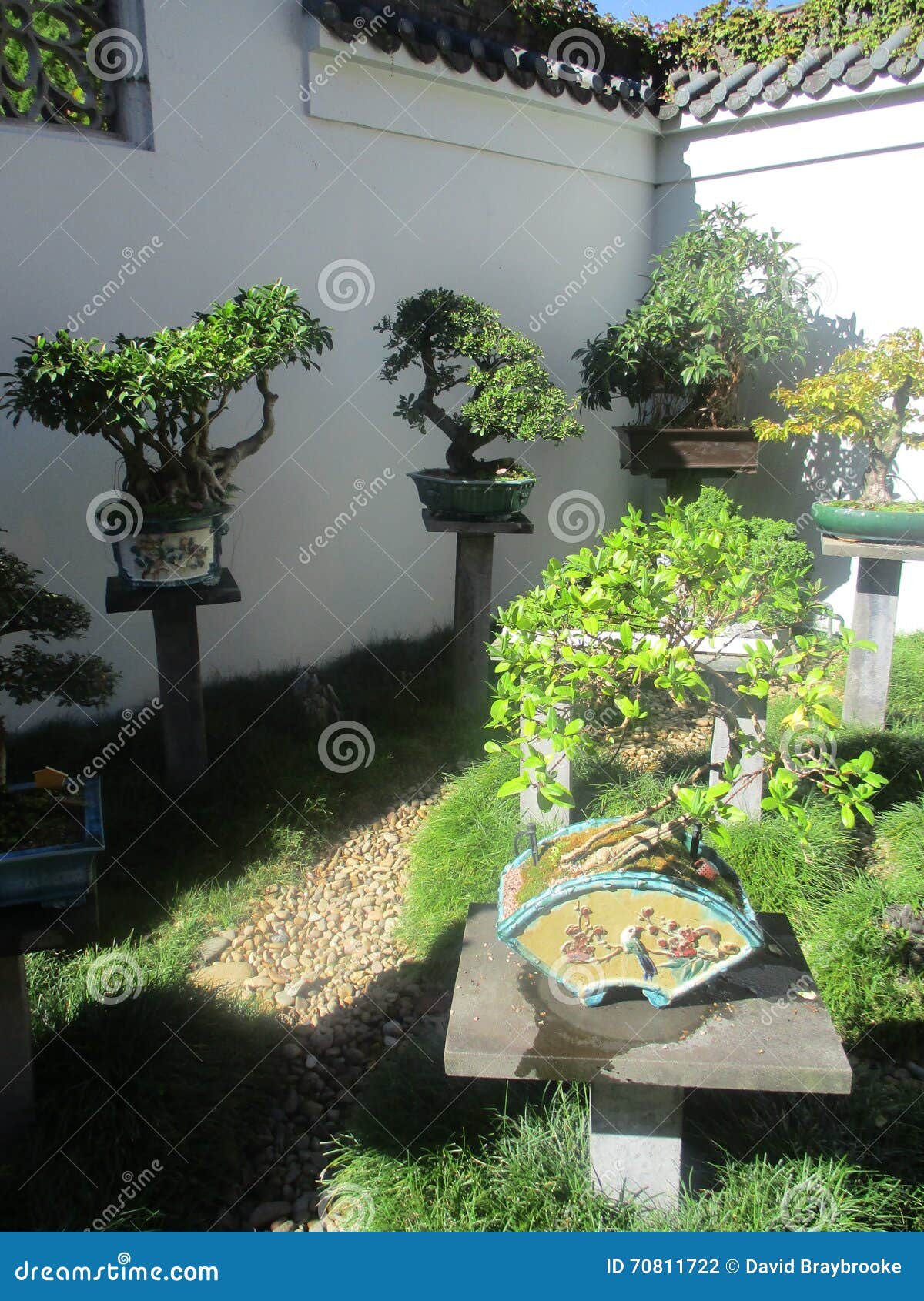 Potted Bonsai Plants Courtyard Garden Stock Photo Image of courtyard