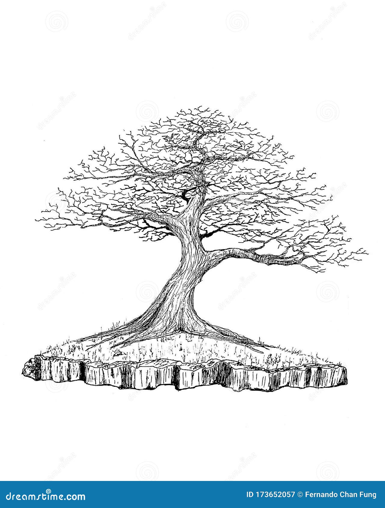 Bonsai Dibujar Arbol Ink Japón China Stock de ilustración - Ilustración de  arte, haga: 173652057