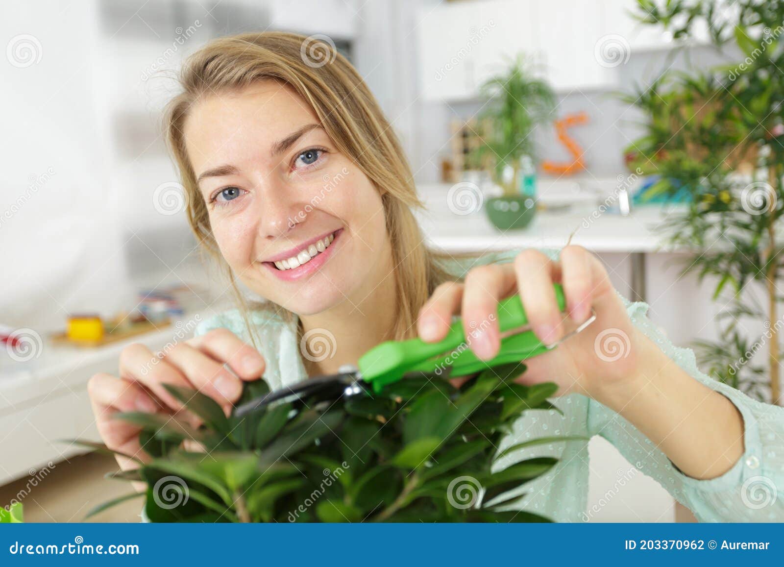 Bonsai Equipment and Step Making Bonsai Stock Photo Image of botany
