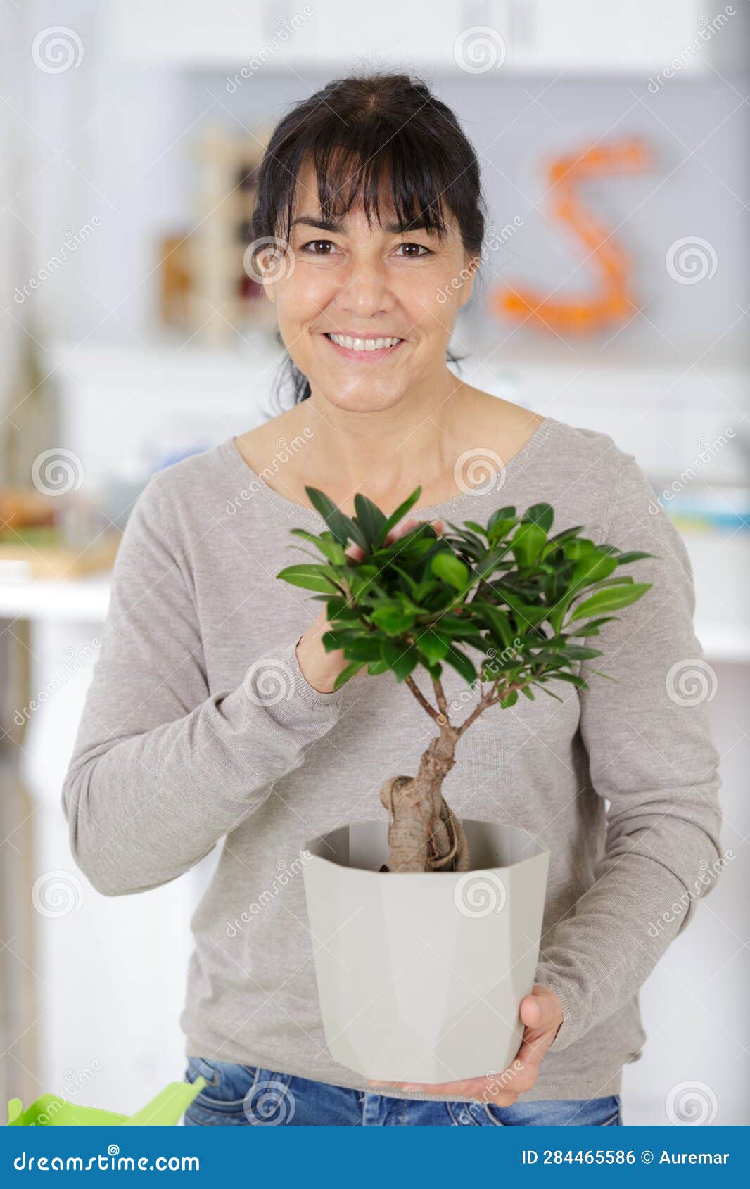 Bonsai Equipment and Step Making Bonsai Stock Photo Image of people