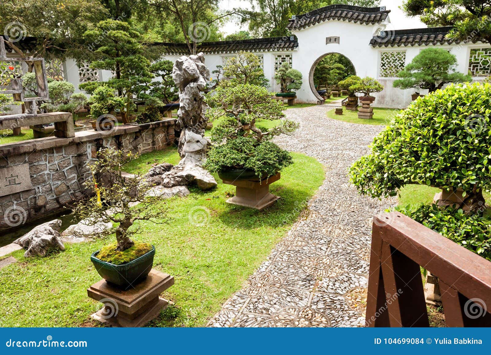 Bonsai garden in Singapore stock photo. Image of oriental 104699084