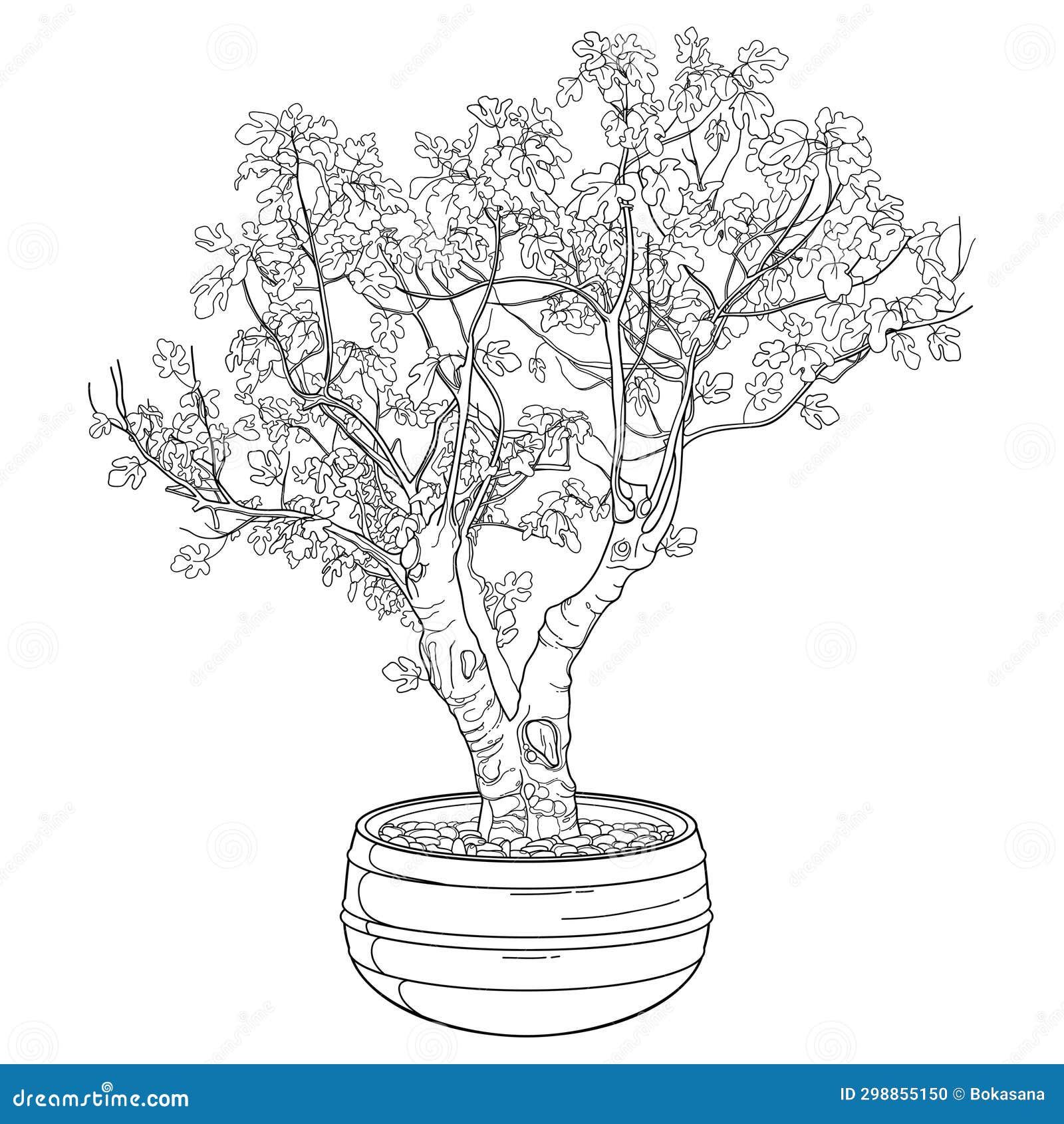 Outline Bonsai Tree with Small Leaves in Round Flowerpot in Black