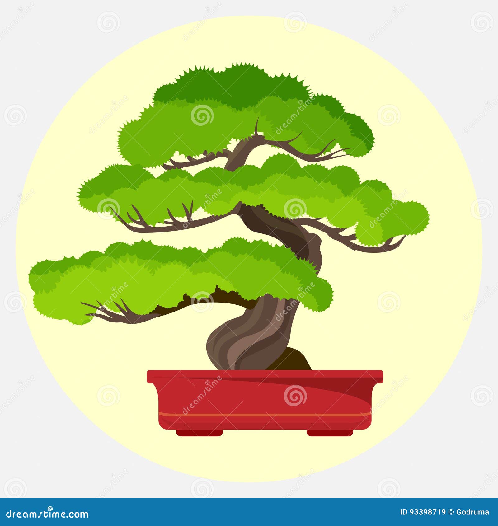 Bonsai Decorative Small Tree Growing In Container. Japanese Tree