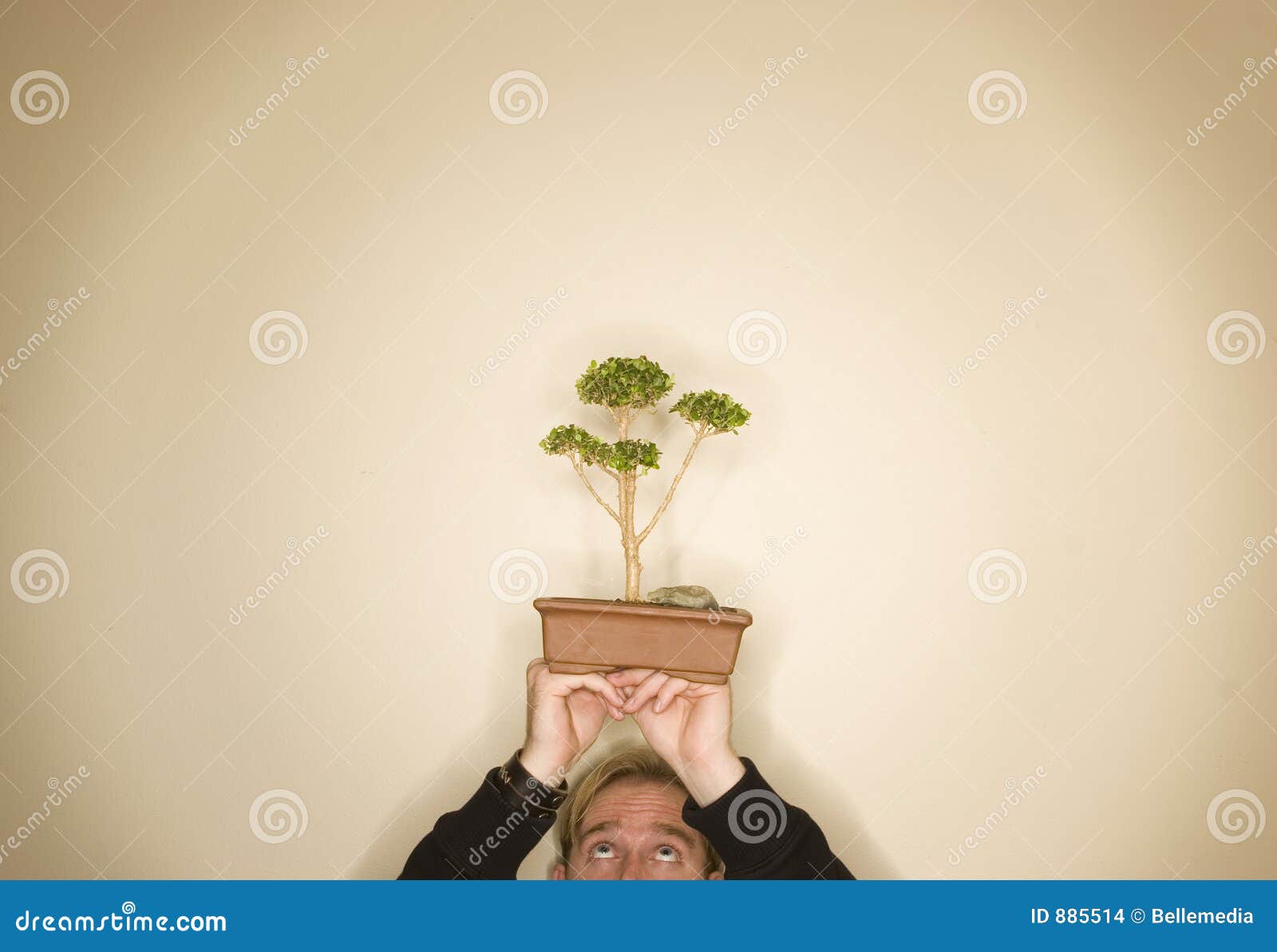 Bonsai tree man stock photo. Image of luck, nature, life 885514