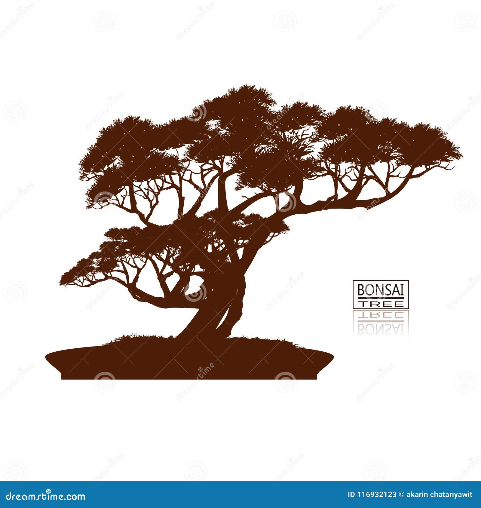 bonsai tree. vintage. realistic style. detailed image,  . decorative arts. mini tree in pot. dwarf tree decorati