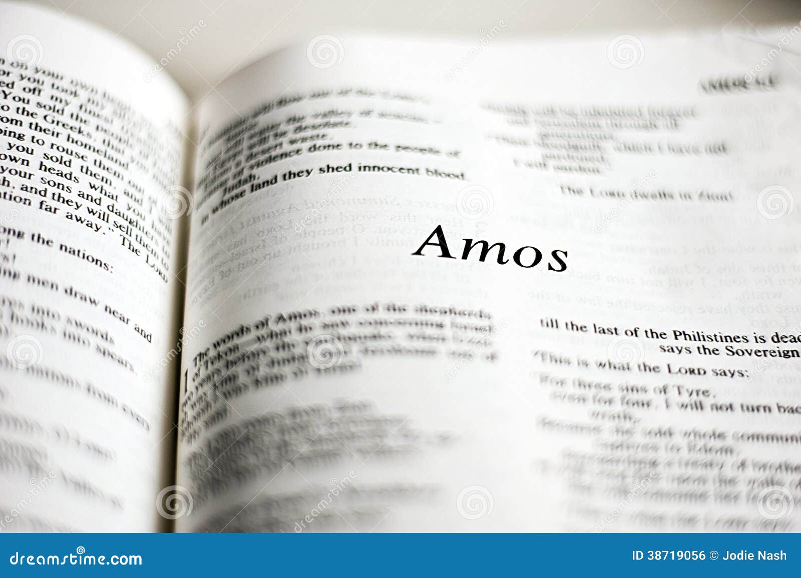 Book Of Amos Stock Photo Image Of Close Hebrew Church
