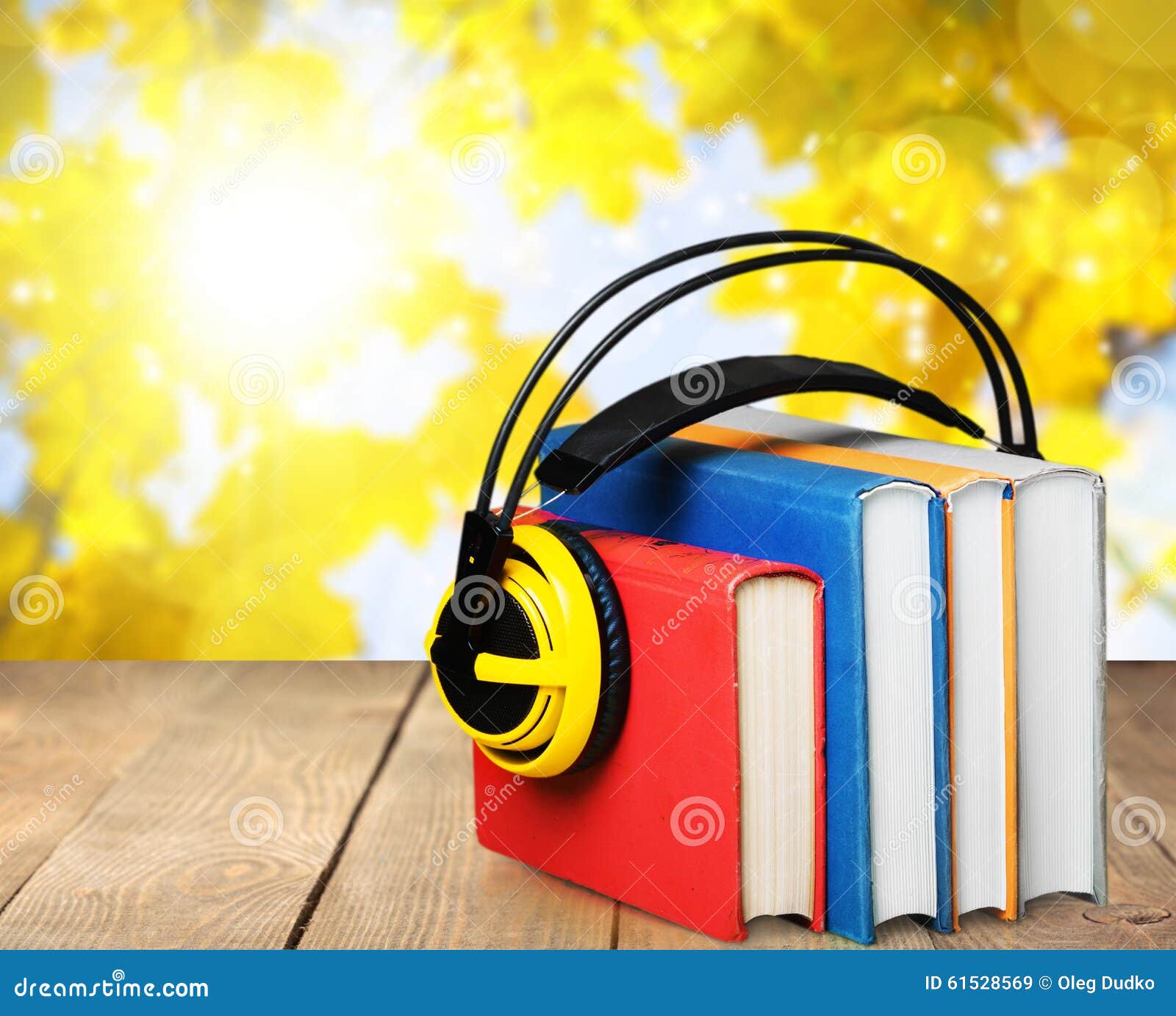 audio book library audio book library