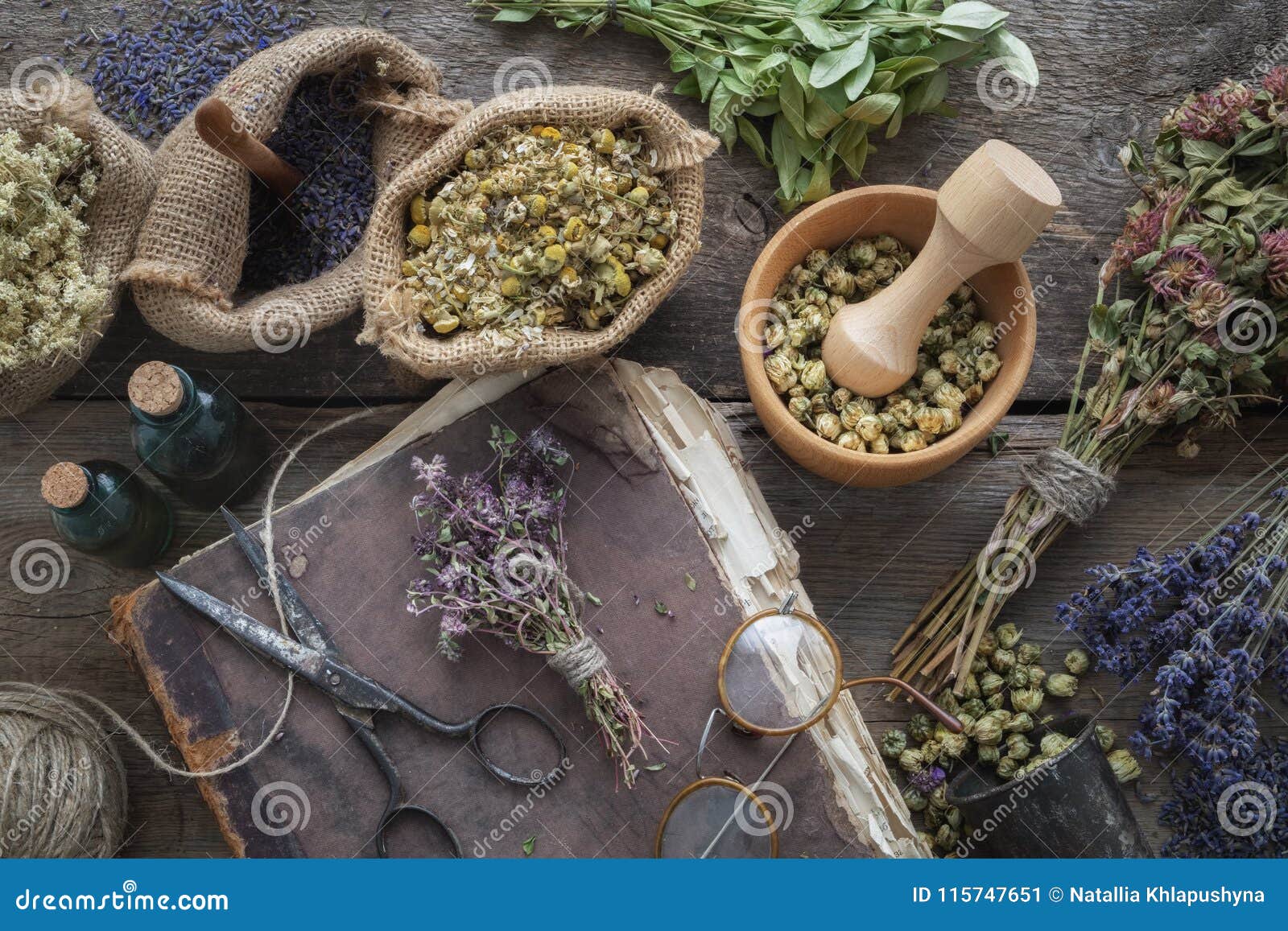 book, eyeglasses, tincture bottles, assortment of dry healthy herbs, mortar. herbal medicine. top view.