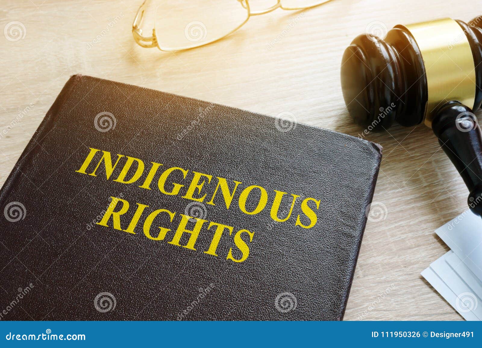 book about indigenous rights law.
