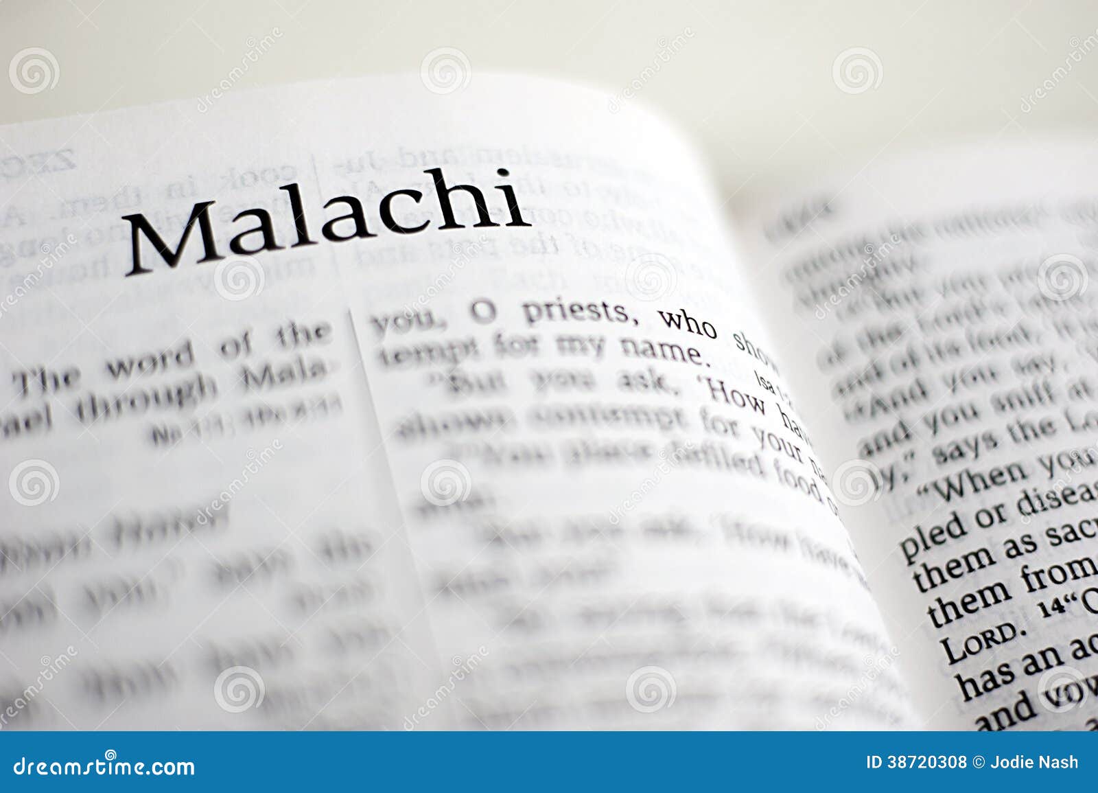 The book of malachi