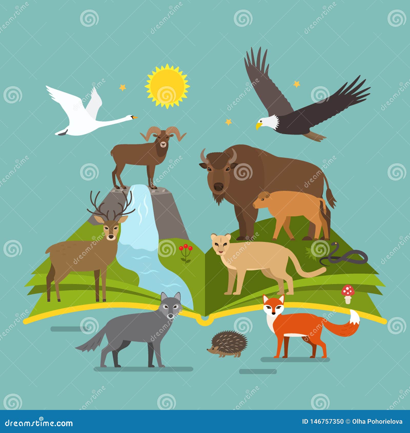 Book about the National Parks of Nature. Big Set of Animals and Birds Cartoon Style Stock Illustration - Illustration of icon, bird: 146757350 Book about the National Parks of Nature. Big Set of Animals and Birds Cartoon Style Stock Illustration - Illustration of icon, bird: 146757350