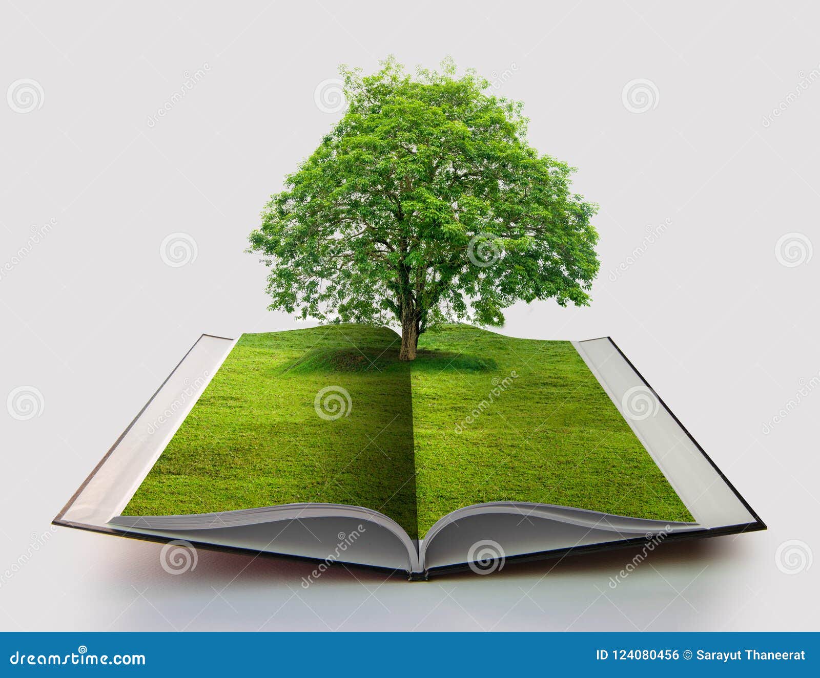 763,890 Open Book Images, Stock Photos, 3D objects, & Vectors