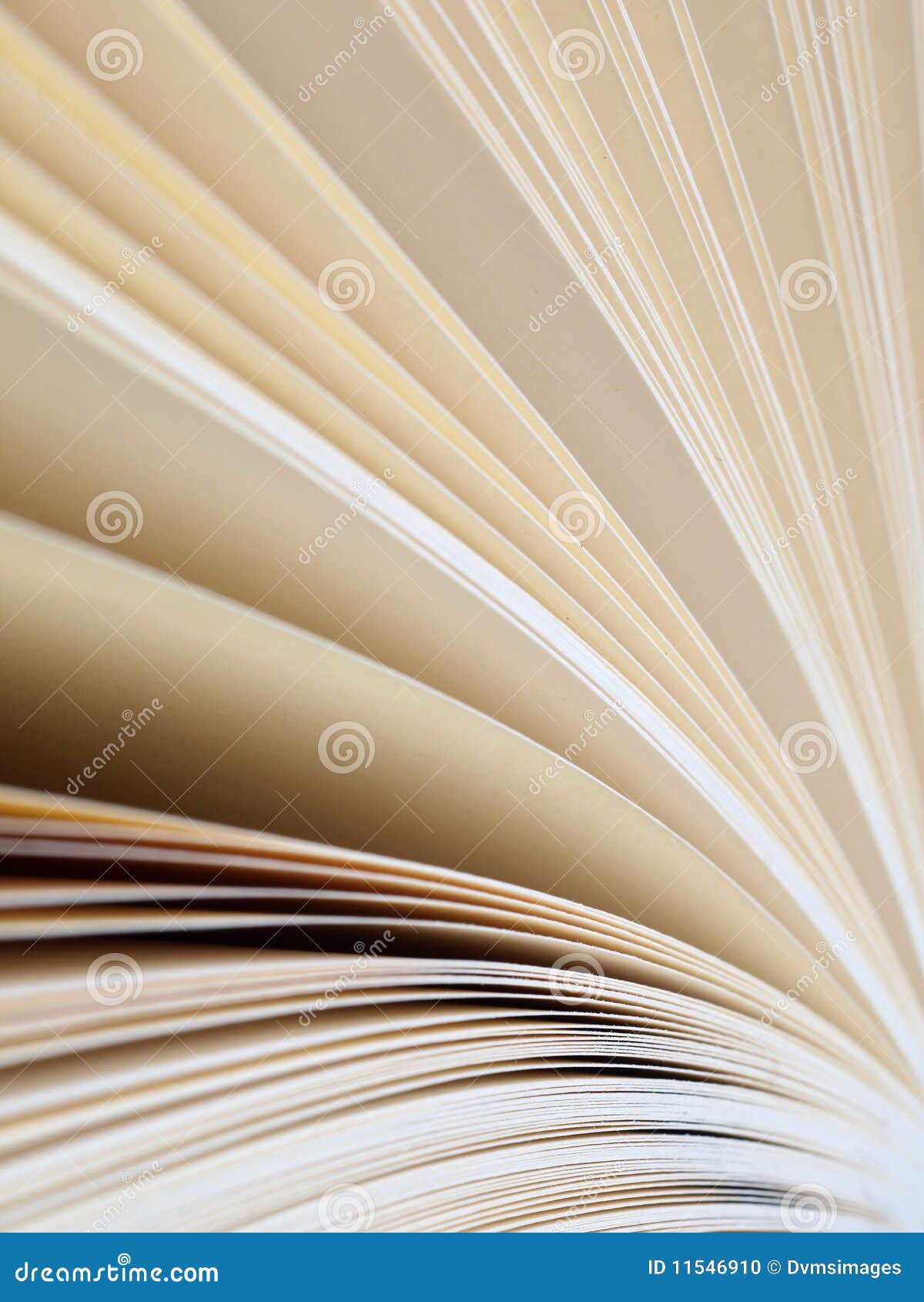 book pages