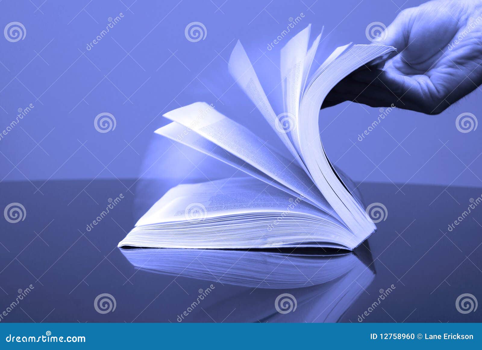 Book Pages Open stock photo. Image of cover, bookstore 12758960