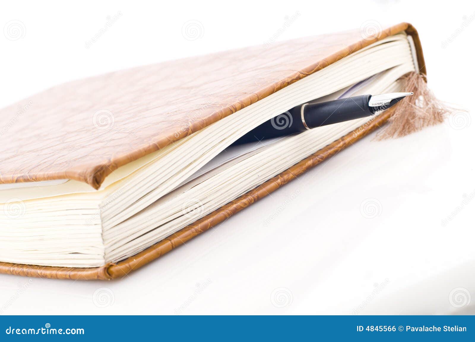 Book and pen stock photo. Image of hard, brown, notebook 4845566