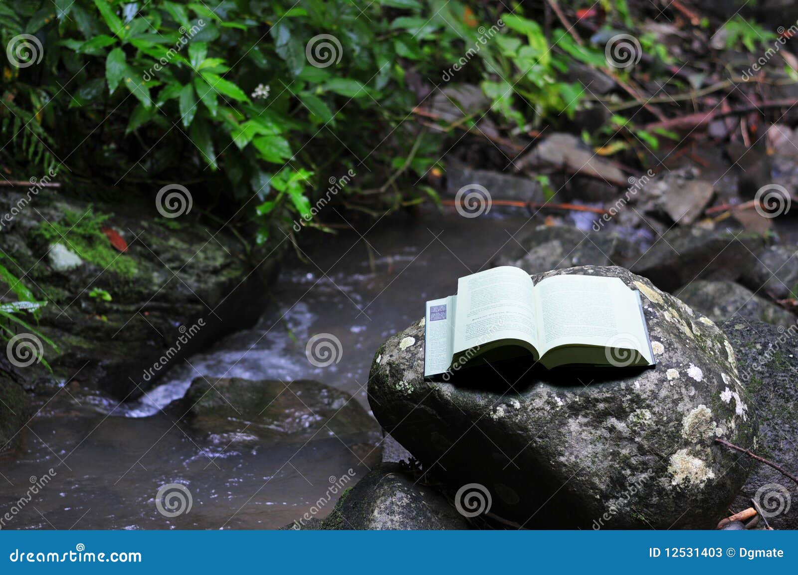 book in rainforest