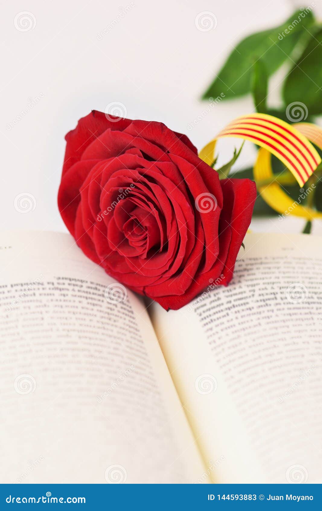 book, red rose and catalan flag