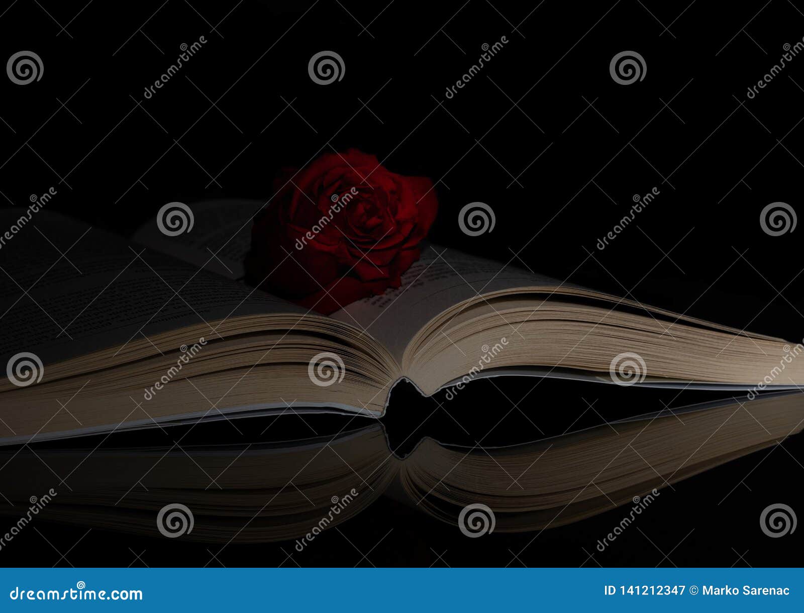 book. rose. opened. side. light. reflection. black