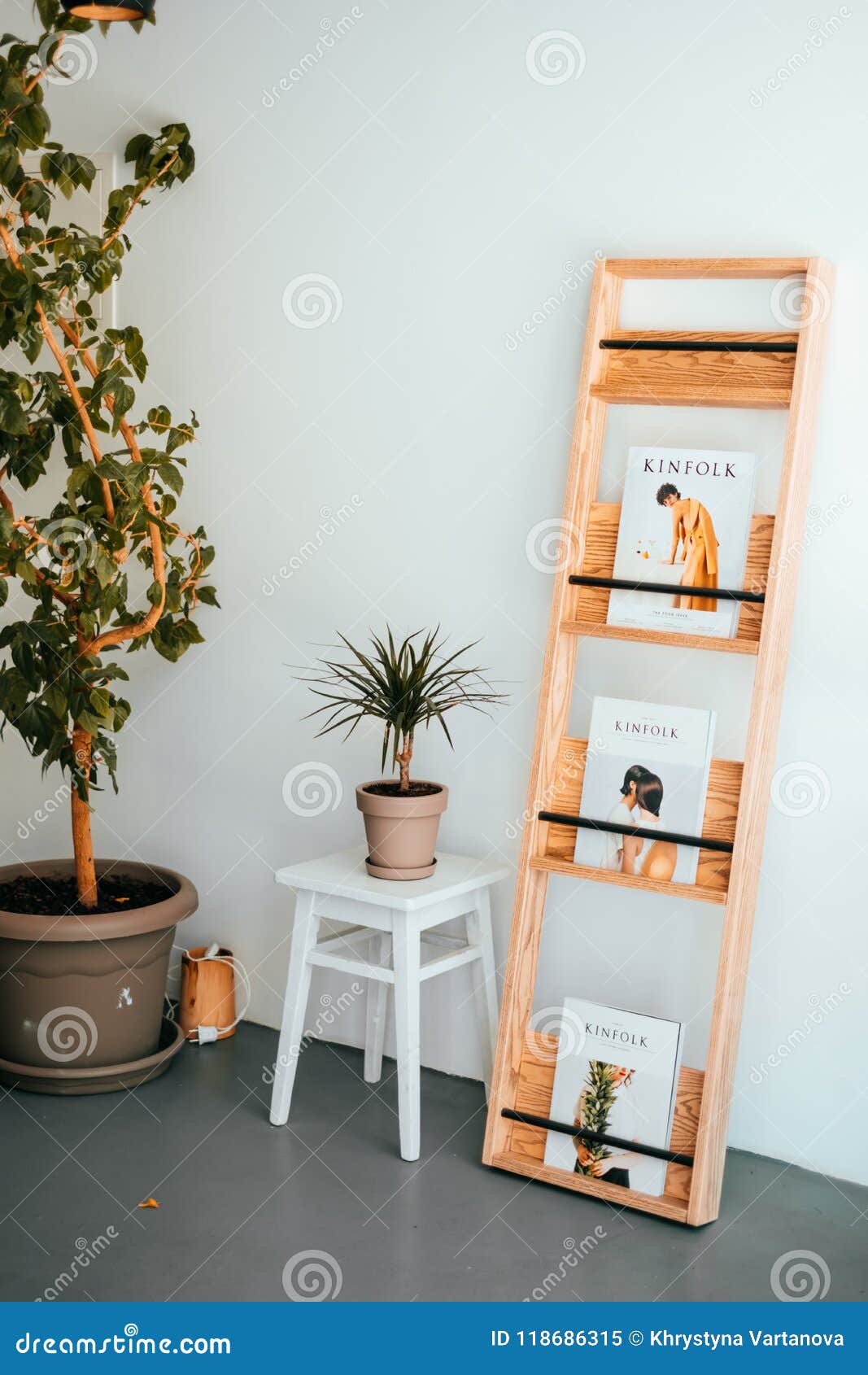 Book Shelf With Magazines Editorial Image Image Of Floor