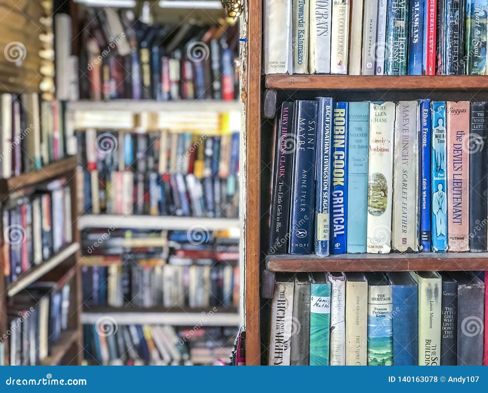 Book shelves in a library stock photo. Image of bookstore 140163078