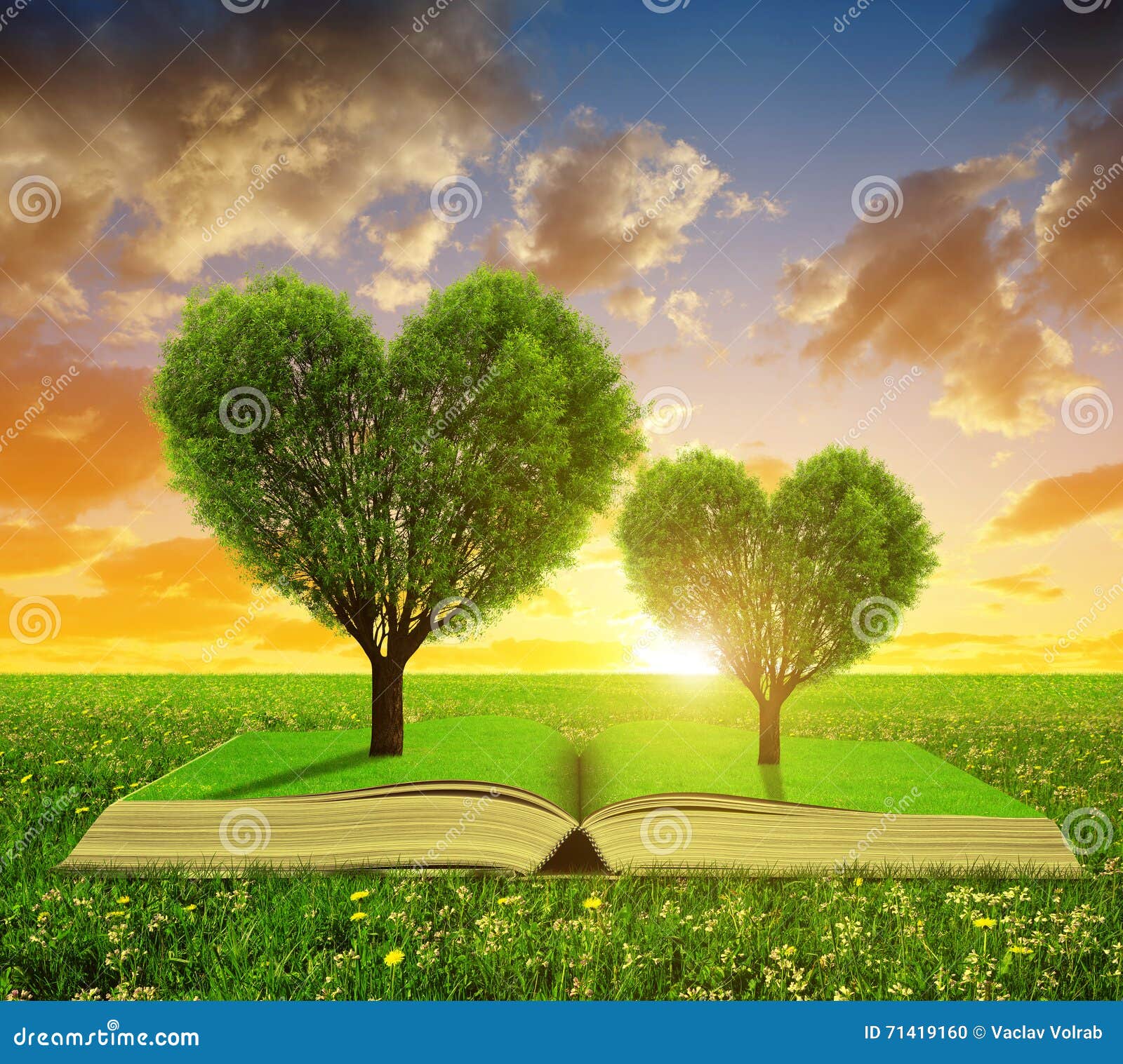 Book with a Trees in the Shape of Heart Stock Photo Image of learning
