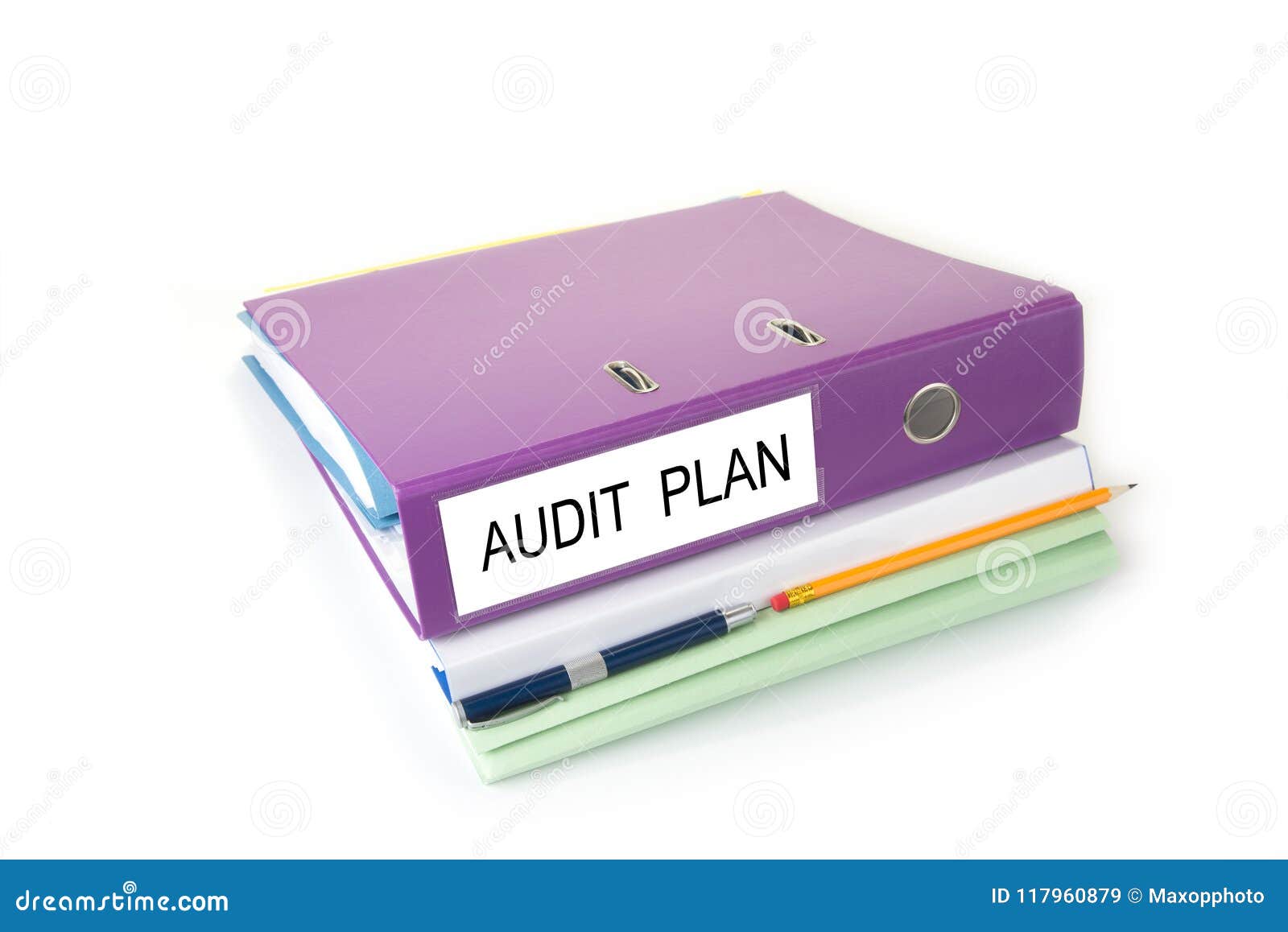 Bookkeeping Office Files in the Folder with Pen and Blank Sign. Audit
