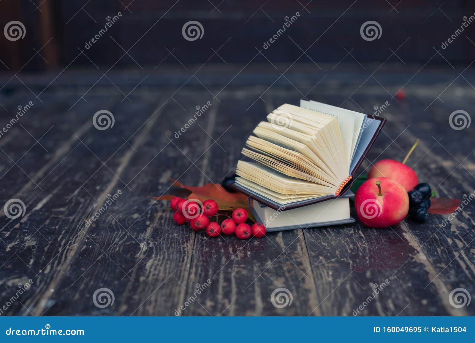 books, colorful maple leaves, apples, ashberries on rustic background, september 1 back to school or college concept