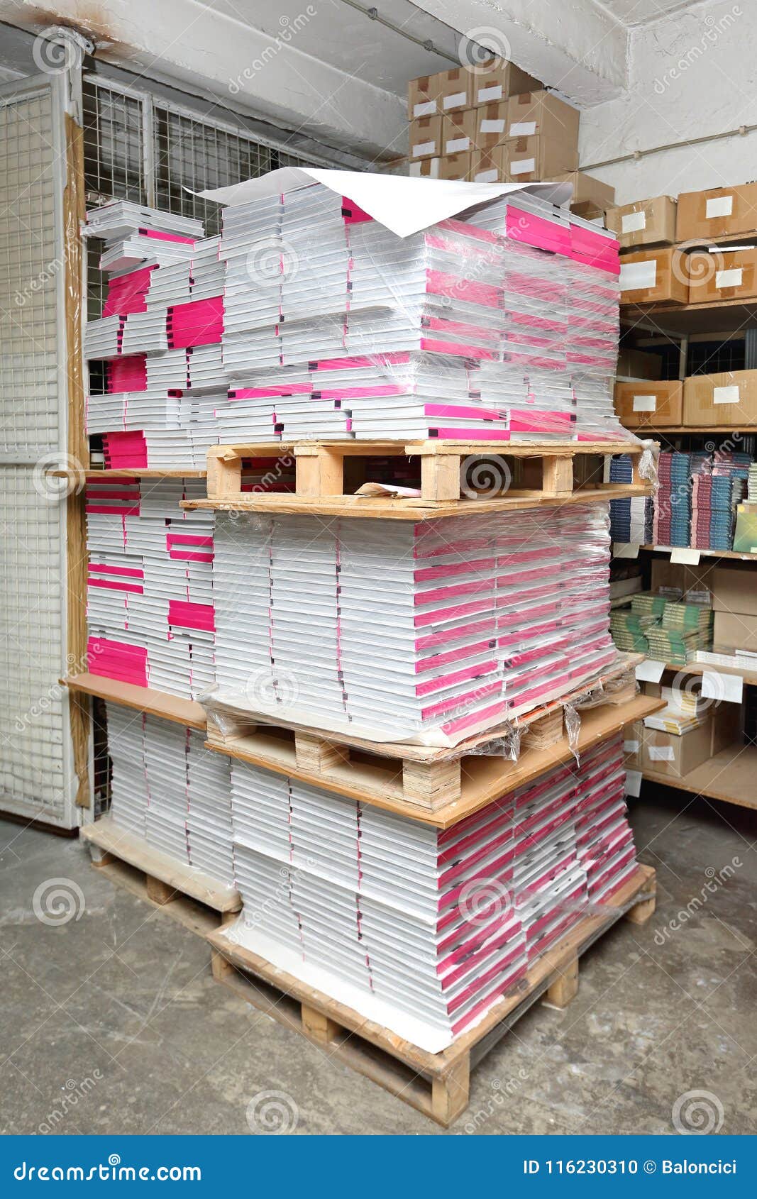 Books at Pallets stock photo. Image of book, pile, heap 116230310