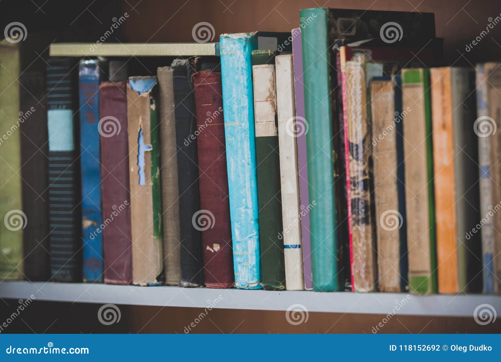 Books On The Shelf Stock Photo Image Of Literature 118152692