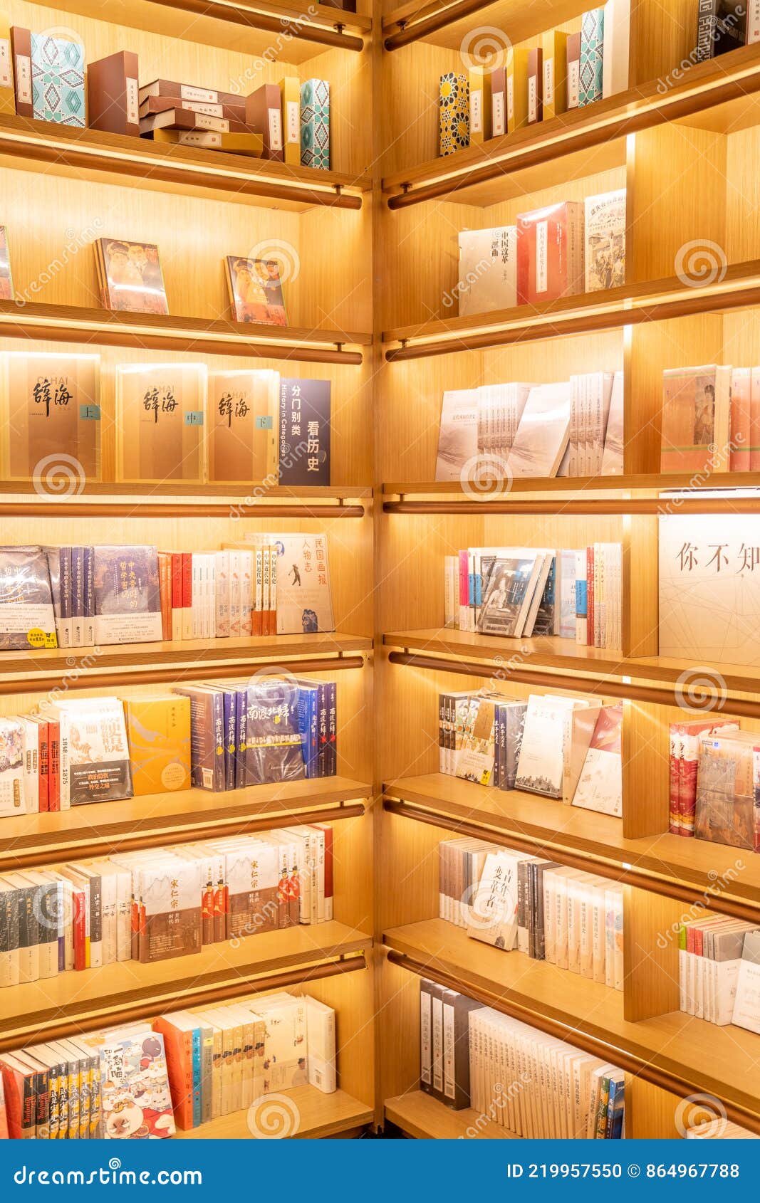 The Books and Shelves in the Library Editorial Image Image of information, library 219957550