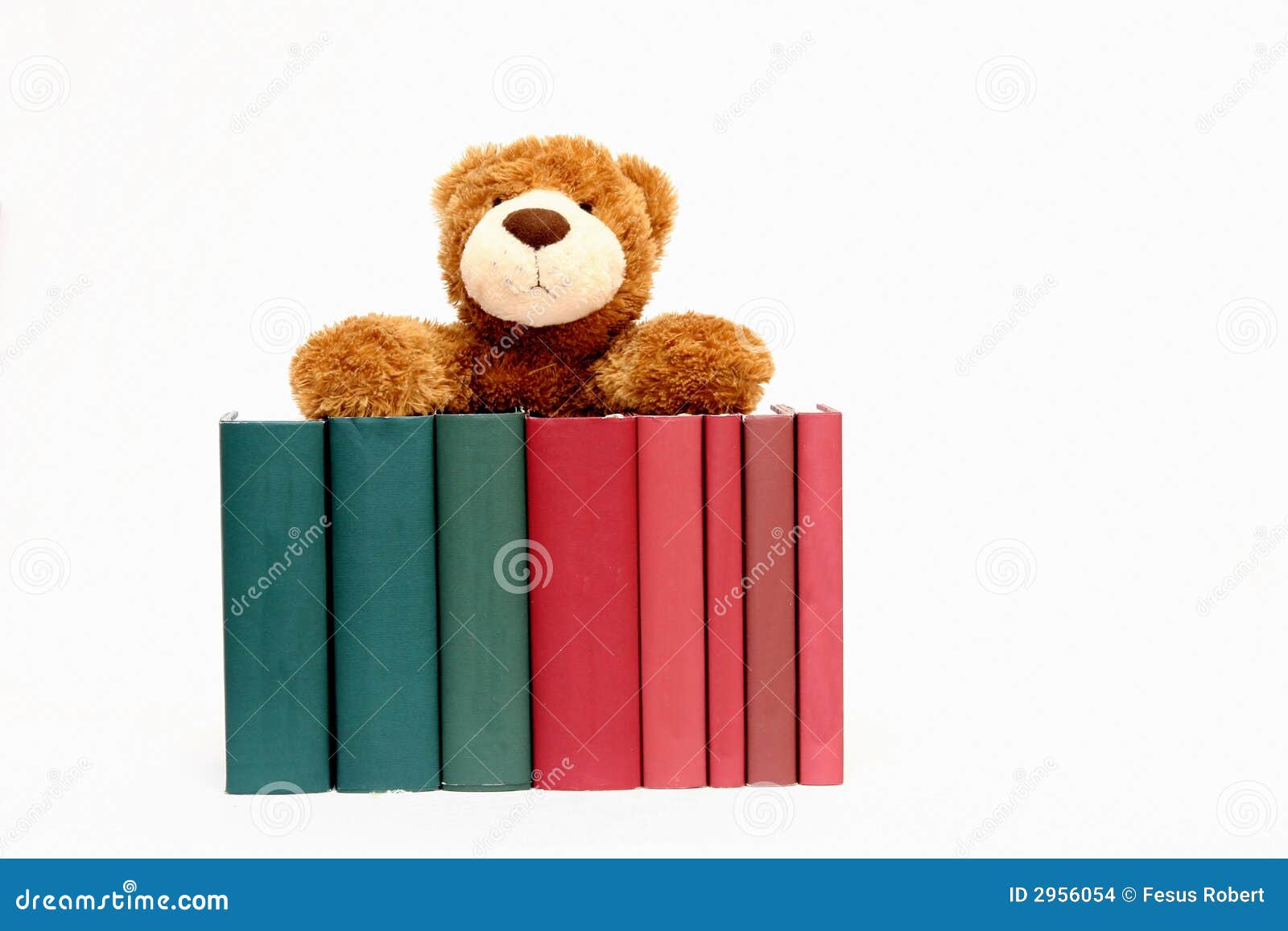 Books and teddy bear stock photo. Image of company, negotiating 2956054