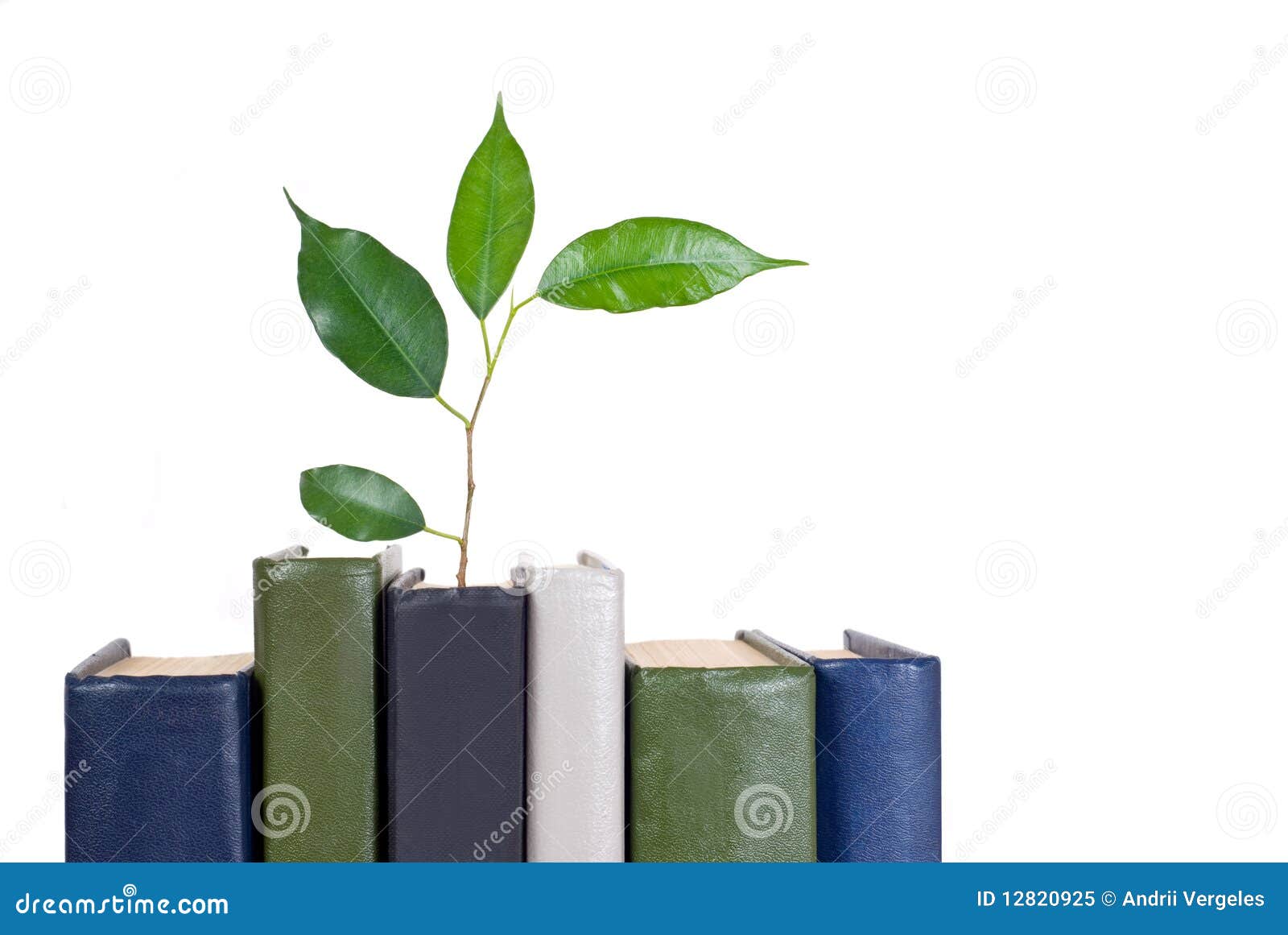 Books and tree stock image. Image of library, business 12820925
