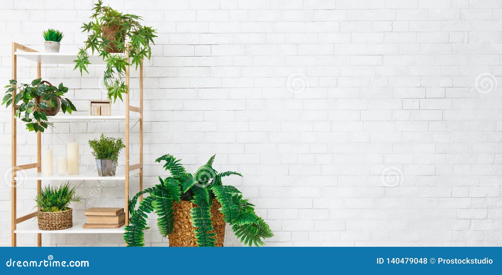 Bookshelf With Various Plants Over White Wall Stock Photo Image